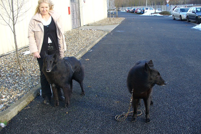 Bandit & Buck Kassel2010